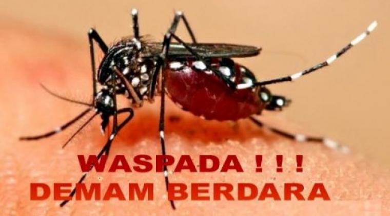 Kasus DBD Tertinggi Se-Indonesia, Komisi V Akan Panggil Dinas Kesehatan